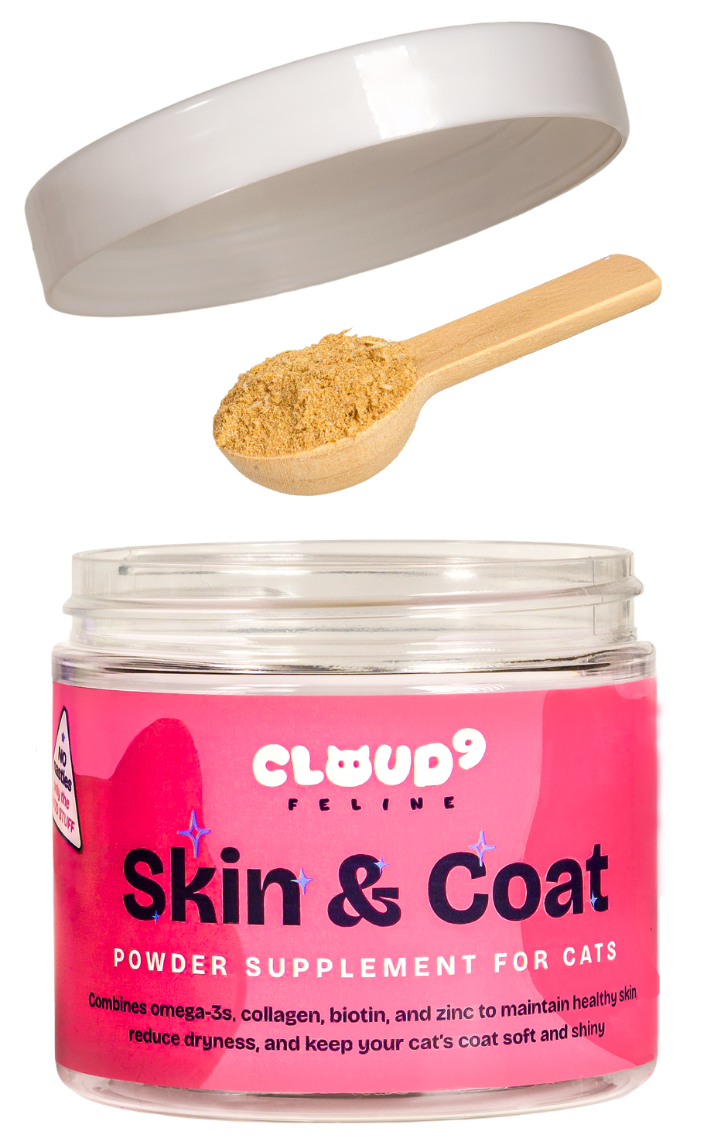 Skin & Coat Cat Supplement